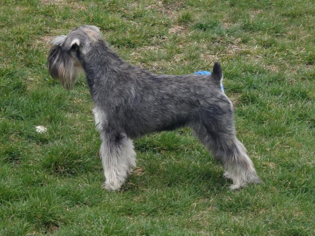 DSCN7351.JPG