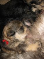 IMG_9699.JPG