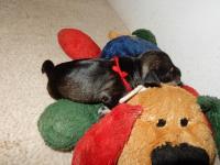 DSCN4779.JPG