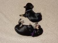 DSCN4790.JPG