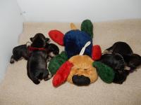 DSCN4840.JPG