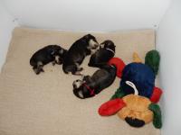 DSCN4876.JPG