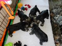 DSCN5109.JPG