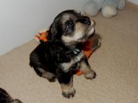 DSCN5126.JPG