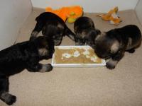 DSCN5130.JPG