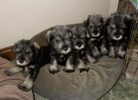 DSCN5207.JPG