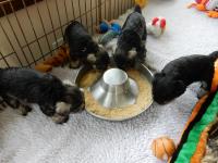 DSCN2395.JPG