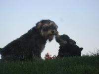 IMG_9003.JPG