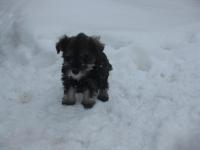 IMG_6169.JPG
