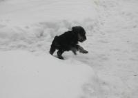IMG_6172.JPG