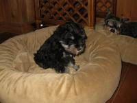 IMG_6272.JPG