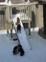 IMG_2216.JPG