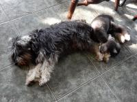 DSCN0859.JPG